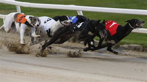 Greyhound Racing Results for 2022.